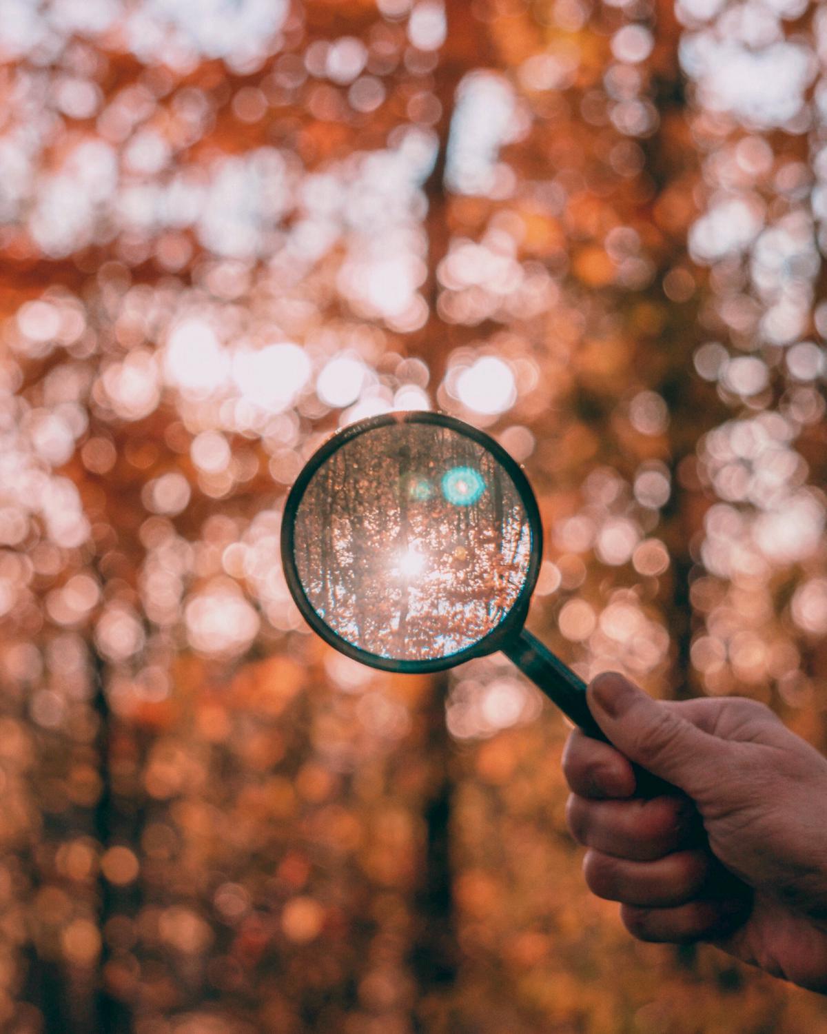 A graphic representation of a person standing in front of a computer screen with a magnifying glass, symbolizing the importance of online presence.