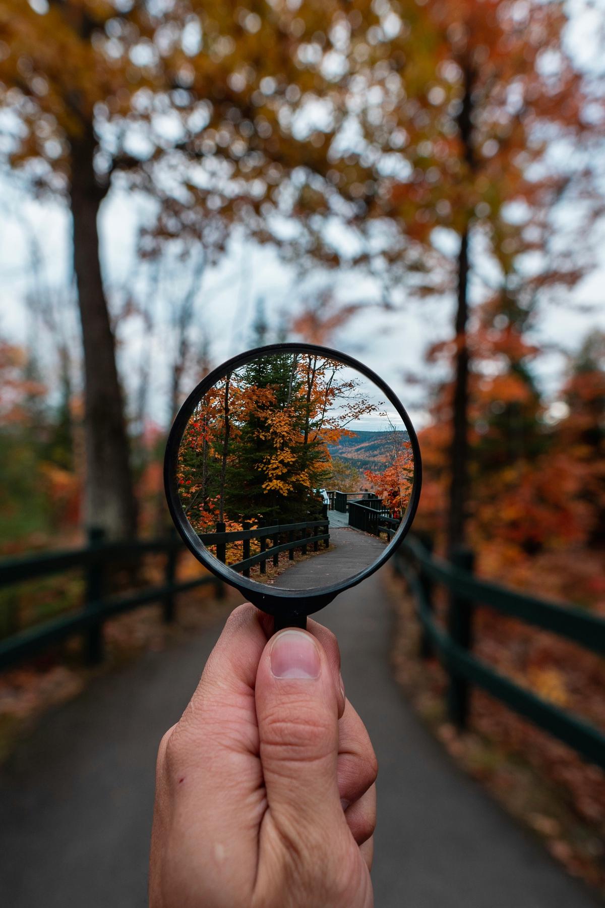 An image of a person looking through a magnifying glass at a computer screen, symbolizing trend spotting